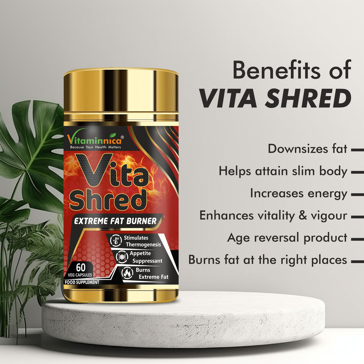 Vitaminnica Magnesium Bisglycinate+ Multi Vita Men+ Vita Shred- Combo Pack| 180 Capsules