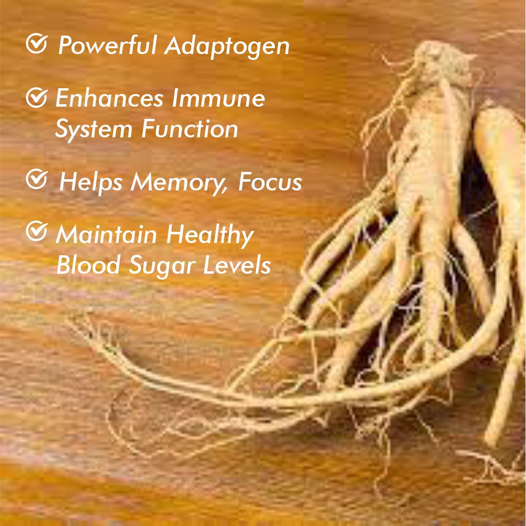 Vitaminnica Sibirischer Ginseng – 60 Kapseln