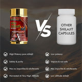 Vitaminnica Shilajit- 60 Capsules