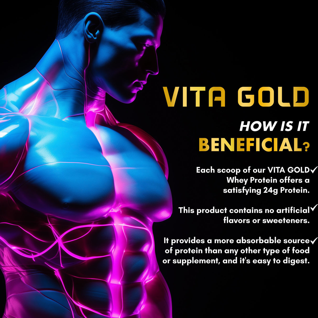 Vitaminnica Vita Gold Whey Protein Blend- Strawberry Cheese Cake Flavour | Whey Concentrate, Hydrolysed, Isolate Blend | 5 Lbs- 75 Servings